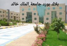 بلاك بورد جامعة الملك خالد