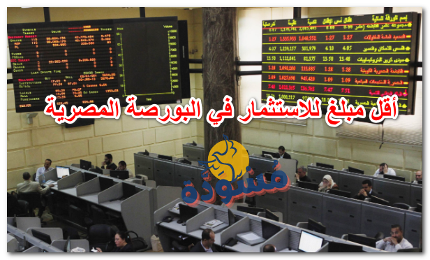 أقل مبلغ للاستثمار في البورصة المصرية